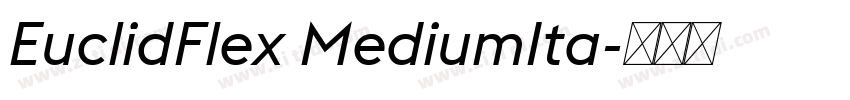 EuclidFlex MediumIta字体转换